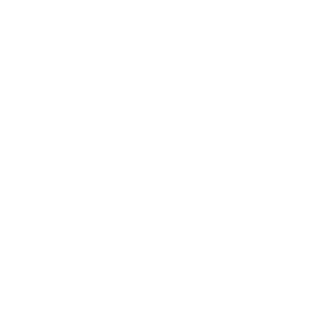 SE Estetik